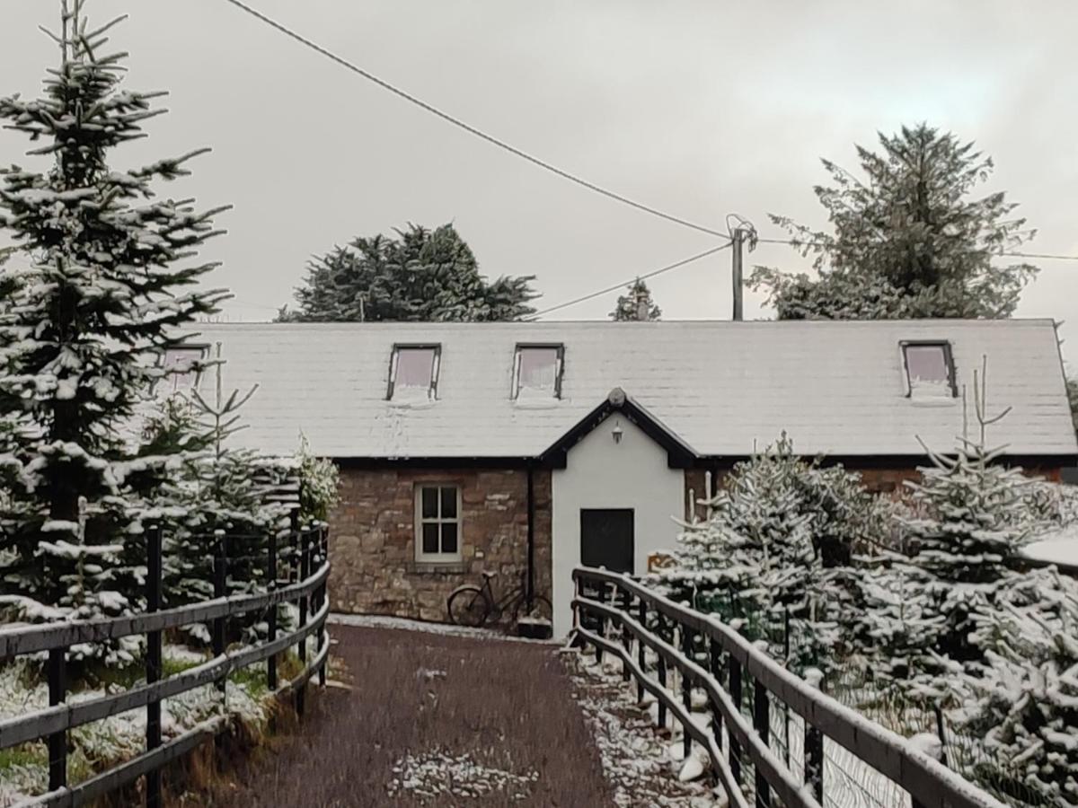 The Old House At Belfield Βίλα Τράλι Εξωτερικό φωτογραφία