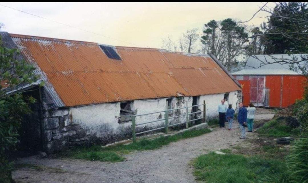 The Old House At Belfield Βίλα Τράλι Εξωτερικό φωτογραφία